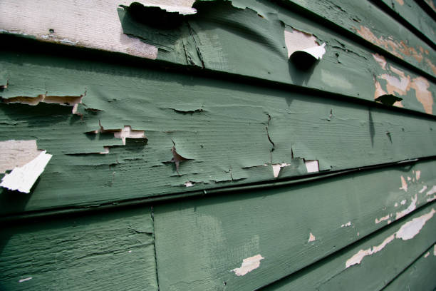 Affordable Siding Repair and Maintenance Services in Imperial, CA